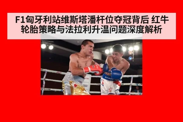 F1匈牙利站维斯塔潘杆位夺冠背后 红牛轮胎策略与法拉利升温问题深度解析