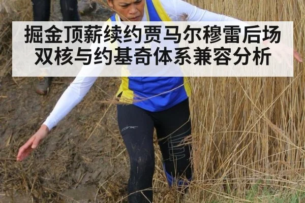 掘金顶薪续约贾马尔穆雷后场双核与约基奇体系兼容分析